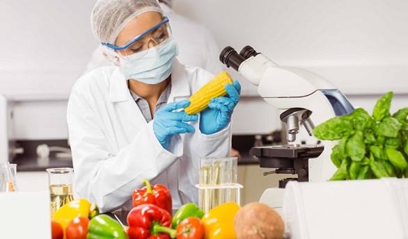 Imagen representativa de Ingeniería en Alimentos